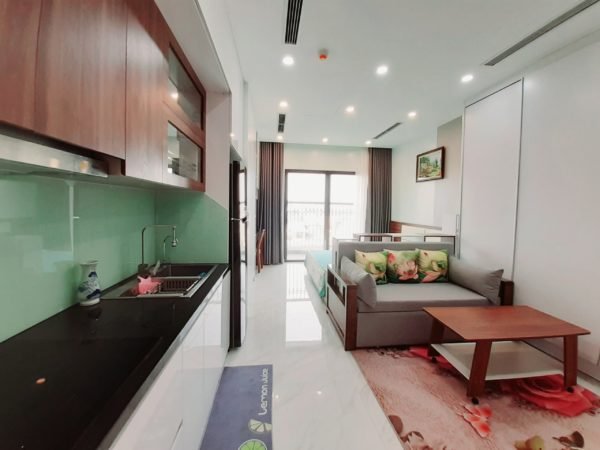 Studio apartments for rent in D'.El Dorado I Premium, 659A Lac Long Quan, Tay Ho, Hanoi (2)