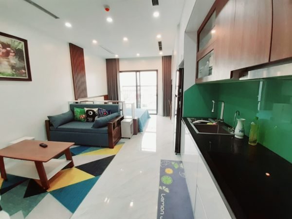 Studio apartments for rent in D'.El Dorado Premium, 659A Lac Long Quan, Tay Ho, Hanoi (1)