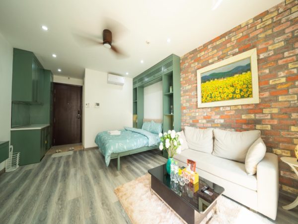 Studio apartments for rent in Vinhomes D'.Capitale Tran Duy Hung, Cau Giay, Hanoi (10)