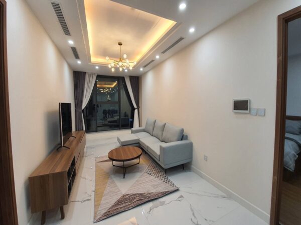 Minimalist-style apartment for rent in Sunshine Center (1)