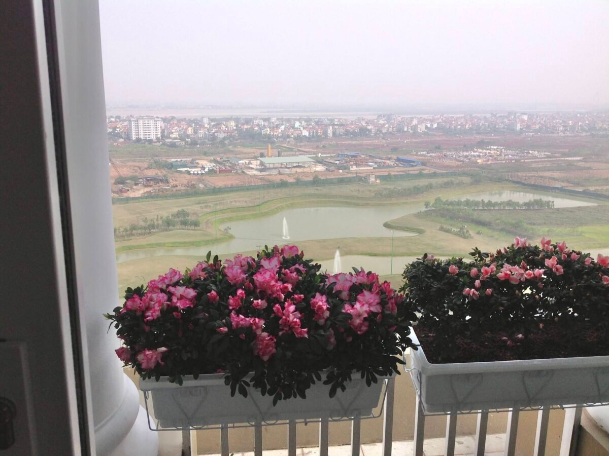 Penthouse apartment overlooking the golf course for rent in P2 Ciputra (17)