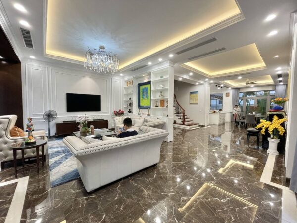 Modern house for rent in Vinhomes The Harmony (1)