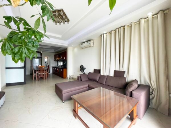 Beautiful lakeview apartment in Tu Hoa for rent (1)