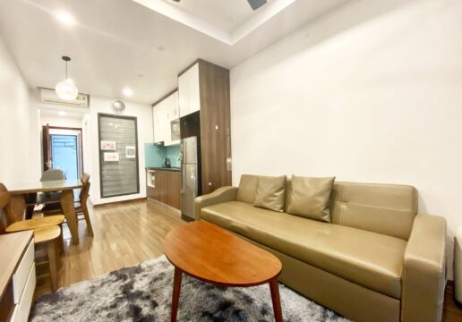 Cheap 1-bedroom apartment for rent in Dang Thai Mai Str (1)