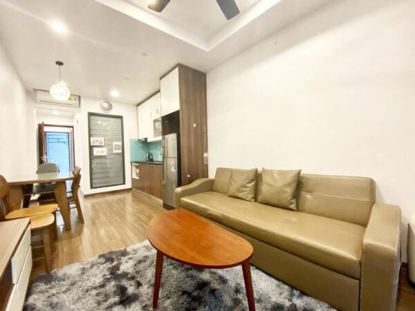 Cheap 1-bedroom apartment for rent in Dang Thai Mai Str (1)