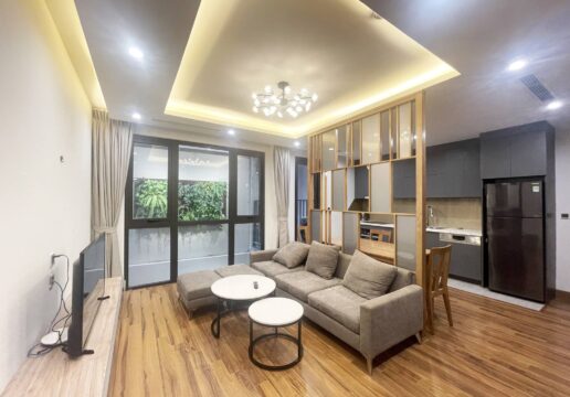 Modern 2-bedroom serviced apartment for rent on Tu Hoa Street (1)