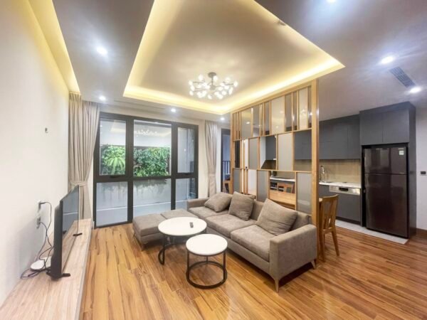 Modern 2-bedroom serviced apartment for rent on Tu Hoa Street (1)