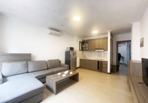 Reasonable pricing 1BD apartment for rent in Tu Hoa Street (1)