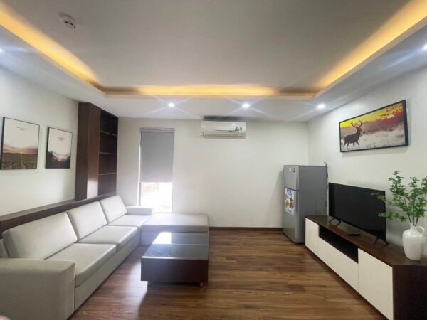 Cozy 2-bedroom apartment in To Ngoc Van for rent (2)