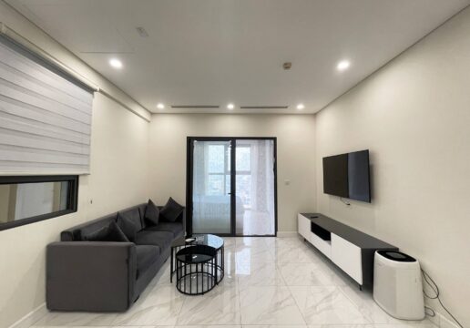 Luxurious 1 bedroom for rent in El Dorado closed to Lotte Mall (1)