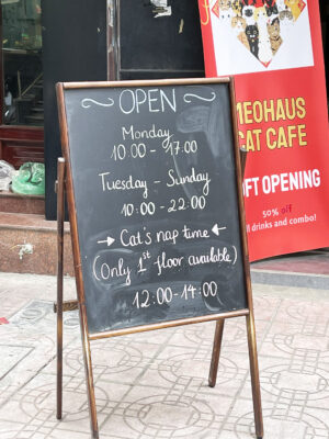 Super hot cat cafe in Hanoi for cat lovers in 2023 11 Opening and closing time at Meo Haus Hanoi Cafe