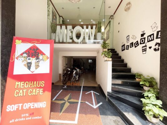 The cafe is named 'Meo Haus' with the mission of providing shelters for abandoned cats brought back from Hanoi Pet Adoption Rescue Station