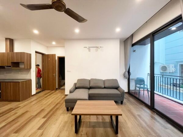 Brand new 1 bedroom in Dang Thai Mai for rent (2)