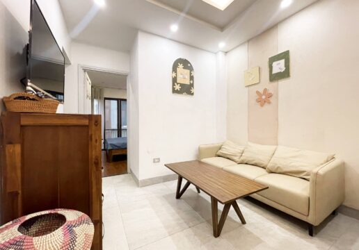 Nice & cheap rustic 2 bedrooms in Dang Thai Mai for rent (1)