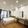 New & modern 1BR apartment in Vu Mien for rent (8)