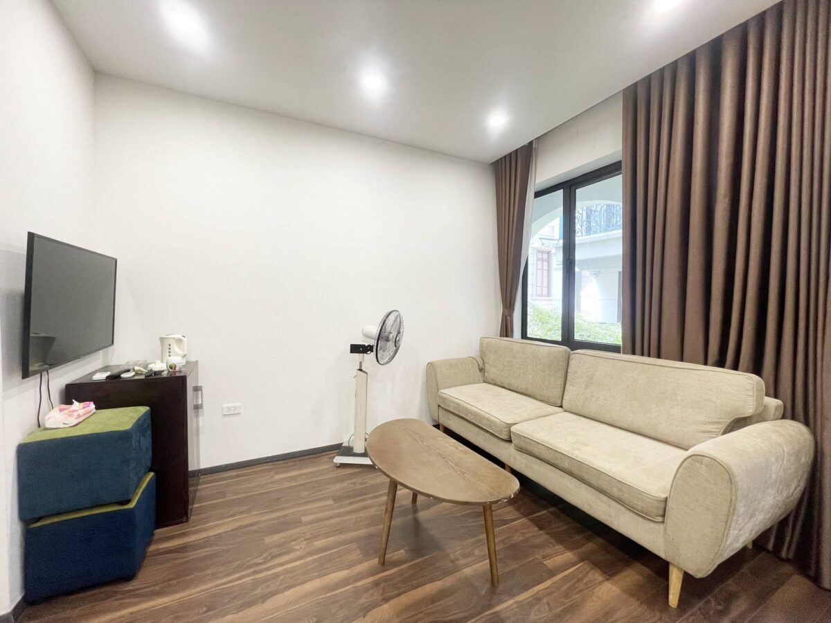 Cheap 2-bedroom serviced apartment in Tu Hoa for rent (2)