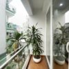 Gorgeous 5-storey garden house in Xuan La for rent (23)