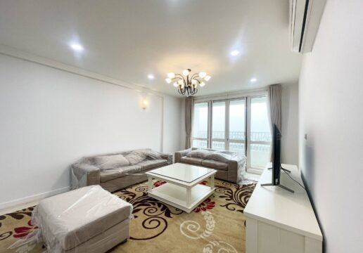 Cheap apartment in Ciputra for rent - P2 building (1)