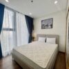 Luxurious 2-bedroom apartment at Imperia Smart City for rent (6)