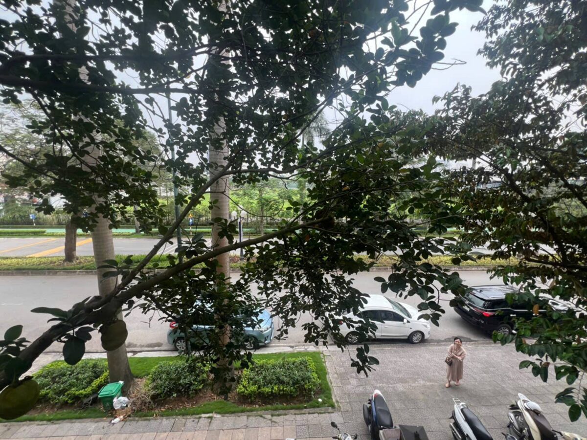 Nice 4-bedroom villa at D4 Ciputra for rent (33)