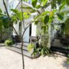 Cheap 4-bedroom villa at Anh Dao block, Vinhomes Riverside for rent (2)