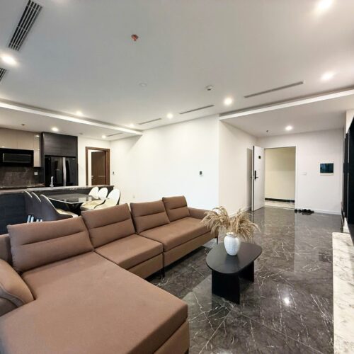 Comfortable 3-bedroom apartment in Sunshine Golden River for rent (1)