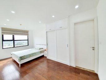 Apartment for rent in Vinhomes D'.Capitale Tran Duy Hung (1)