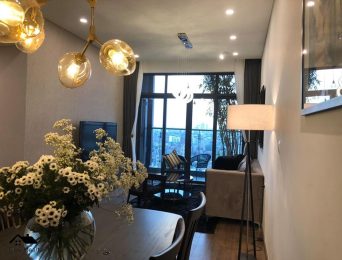 Apartments for rent in Sun Grand City Ancora Residence Luong Yen, Hai Ba Trung, Hanoi (2)