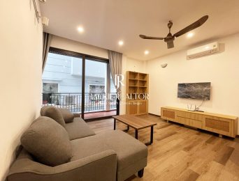 Brand new 1 bedroom in Dang Thai Mai for rent (4)