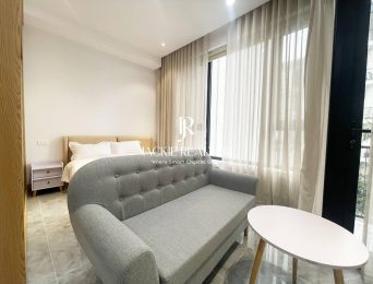 Brand new 40SQM studio for rent at Nguyen Khac Hieu Street (3)