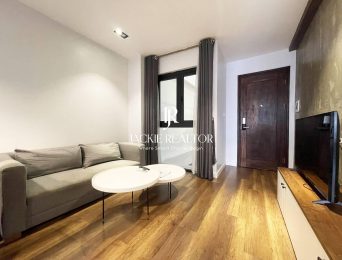 Cozy 1-bedroom Dang Thai Mai apartment for rent (3)