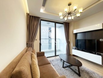 Cozy 2-bedroom apartment for rent at M2 Vinhomes Metropolis (3)