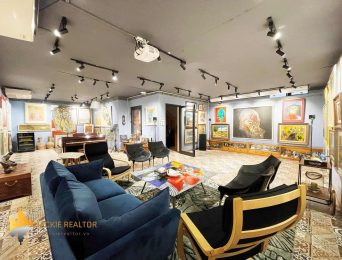 Cozy artistic villa in Vinhomes Riverside for rent (14)