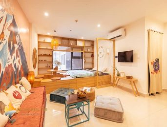 Cozy studio apartment in Vinhomes Ocean Park for rent (1)