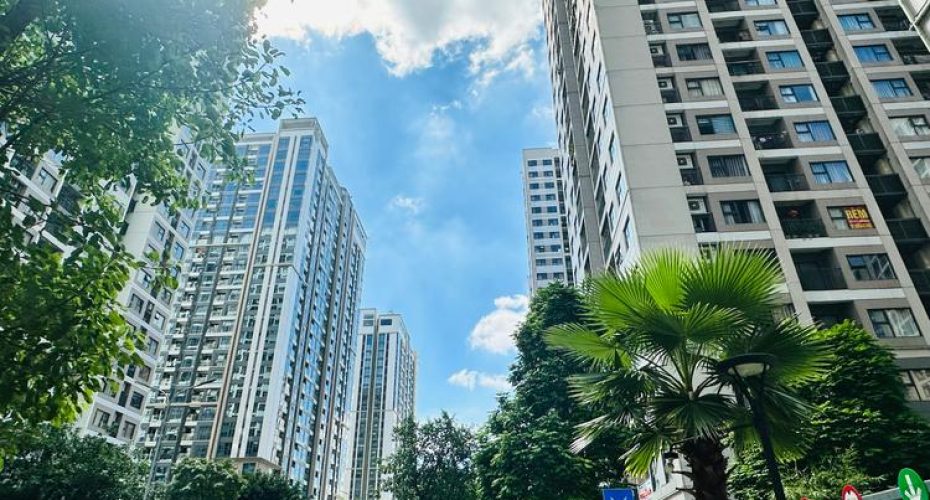 Despite high prices, apartment projects launched during this period all recorded good liquidity or bookings.