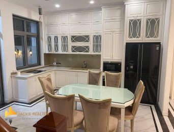 Elegant neoclassical villa for rent in Vinhomes The Harmony (2)