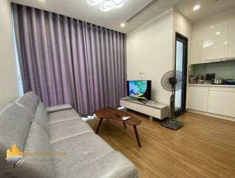 Gorgeous 2BRs Vinhomes Skylake apartment for rent (2)