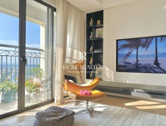 Luxurious apartment D Le Roi Soleil - Well renovated 2 bedroom for resale (2)