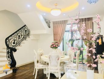 Neoclassical villa for rent in Vinhomes Riverside Nguyet Que (2)