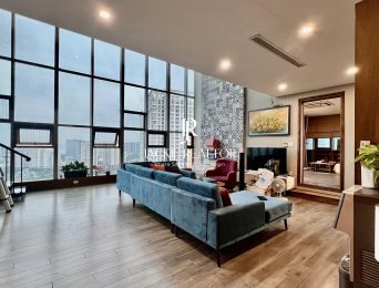 Pristine penthouse for rent in Packexim 1 (4)