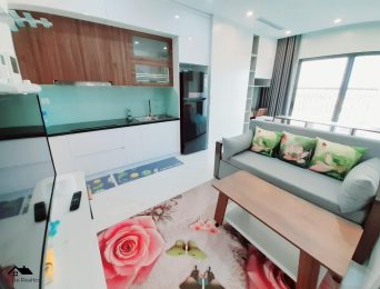 Studio apartments for rent in D'.El Dorado I Premium, 659A Lac Long Quan, Tay Ho, Hanoi (10)