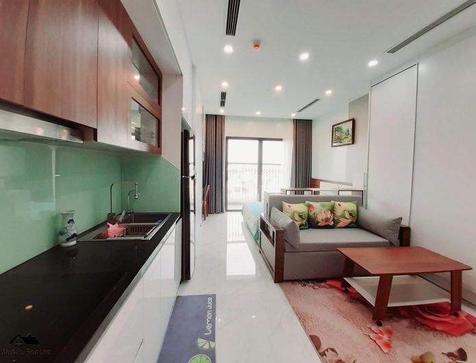 Studio apartments for rent in D'.El Dorado I Premium, 659A Lac Long Quan, Tay Ho, Hanoi (2)