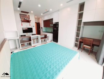 Studio apartments for rent in D'.El Dorado I Premium, 659A Lac Long Quan, Tay Ho, Hanoi (4)
