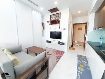 Studio apartments for rent in D'.El Dorado I Premium, 659A Lac Long Quan, Tay Ho, Hanoi (8)