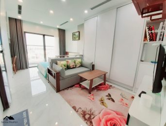 Studio apartments for rent in D'.El Dorado I Premium, 659A Lac Long Quan, Tay Ho, Hanoi (9)