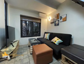 Stunning 1BR apartment for rent in Westlake Tay Ho (1)