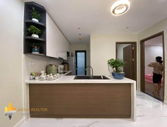 Super cheap 2-bedroom apartment for rent in Sunshine City (3)