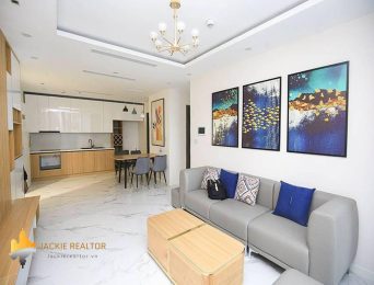 Superb Elgant S5 Sunshine City Apartment for rent (2)