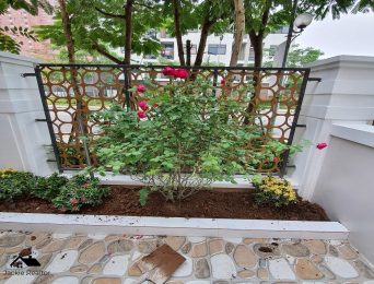 Townhouses and villas for rent in Starlake Tay Ho Tay (1)