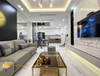 Unique apartment for rent in Sunshine City Best option for 2020 (4)